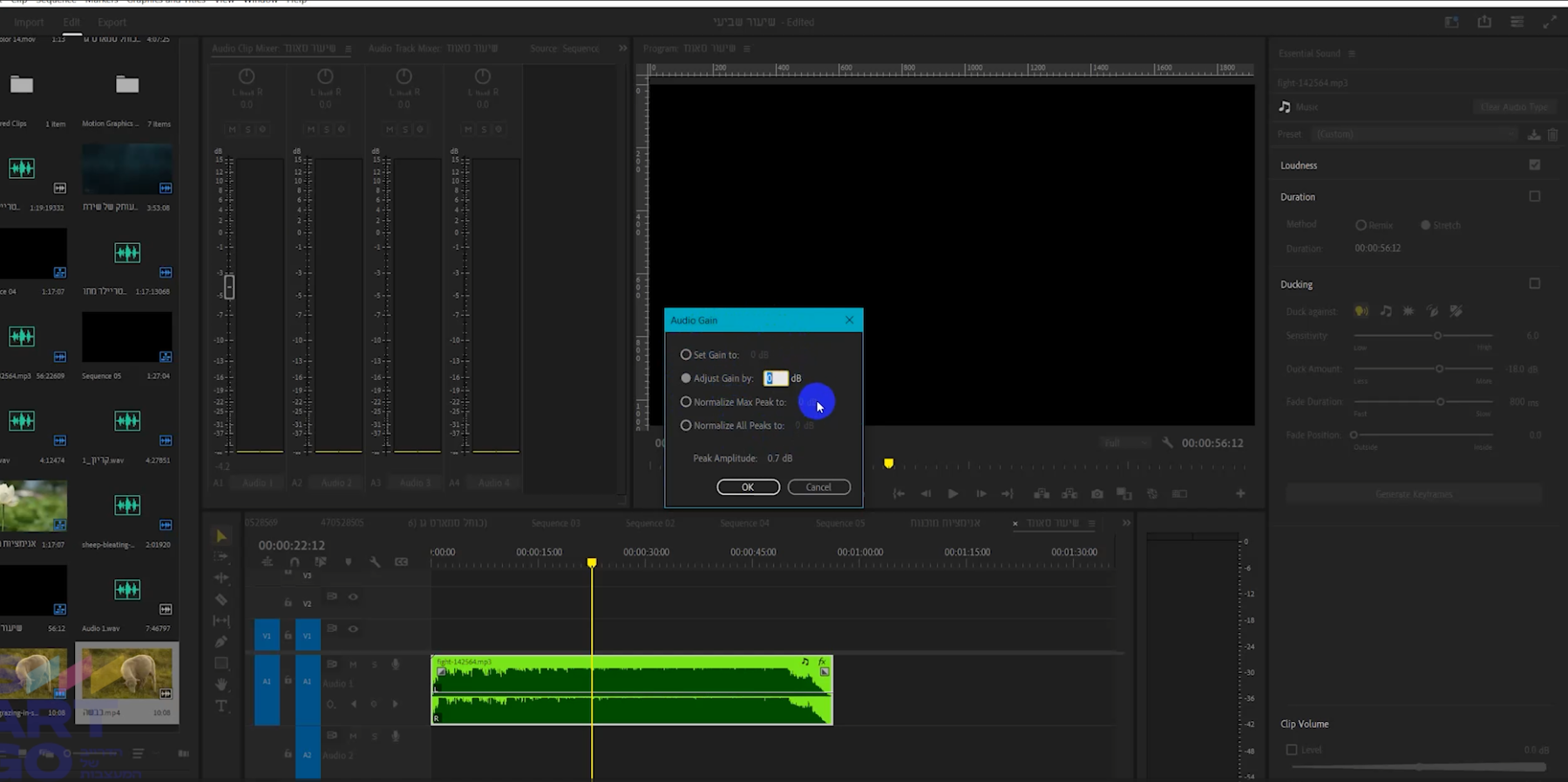 עריכת סאונד בפרמייר