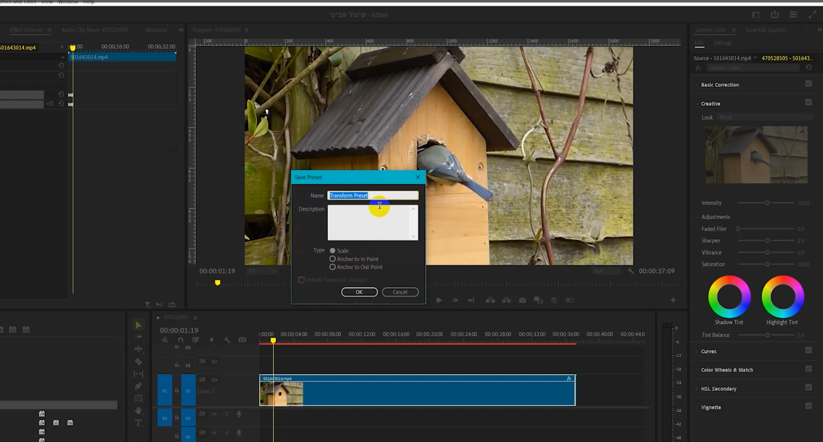 אפקטים ועקיבה בפרמייר